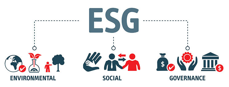 Importância dos fatores ESG em uma organização